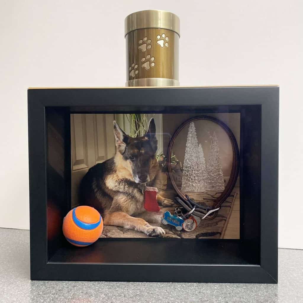 Dog memorial box and urn